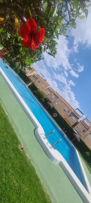 Bungalow Avec Piscine Torrevieja Extérieur photo